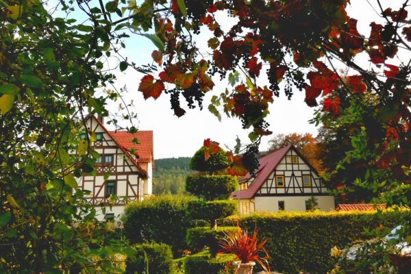 Herbst in Wasungen